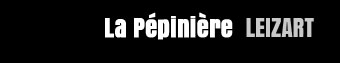 logo du studio enregistrement pepiniere Leizart